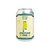 YOUNG MASTER - ANOTHER ONE ALL DAY SESSION ALE - 330ML