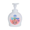 KIREI KIREI - ANTI-BACTERIAL FOAMING HAND SOAP-REFRESHING LIME - 490ML