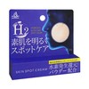 BRAIN COSMOS - Skin Spot Cream - 10G