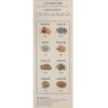 桂圓美 - 止痕去頭屑洗髮露 (到期日 : 2023 年 10 月 19 日) - 300ML