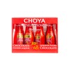 CHOYA - EXTRA SHISO - 120G