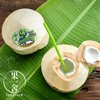 Fruitser - 泰國椰青(特大碼) (3個裝) - SET