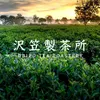 Dripo - Tea Roasters #01 Gardenia jasminoides Ellis Green Tea (Pre-order) - PC