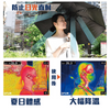 Thanko - Fanbrella - PC