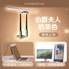 Future Lab. 未來實驗室 - T-Lamp 雙子掛燈｜伯爵奶茶色 (預訂貨品) - PC