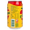 OCEANIC - APPLE SIDRA - CASE - 300MLX24