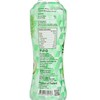 iF - 100% COCONUT WATER (WITH COCONUT PULP) - CASE - 350MLX24