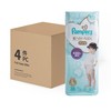 PAMPERS幫寶適(PARALLEL IMPORT) - PANTS- LARGE- CASE OFFER - 38'SX4