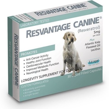 RESVANTAGER - RESVANTAGER - Resvantage Canine Longevity Supplement for Dog 30 Capsules - PC