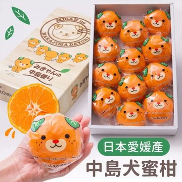 Fruitser - 【預購優惠】日本愛媛蜜柑禮盒(1盒1KG) - PC