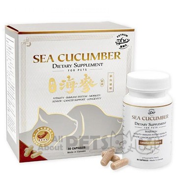 Petrum360 - Petrum360 - Sea Cucumber Dietary Supplement For Pets 30 caps - PC