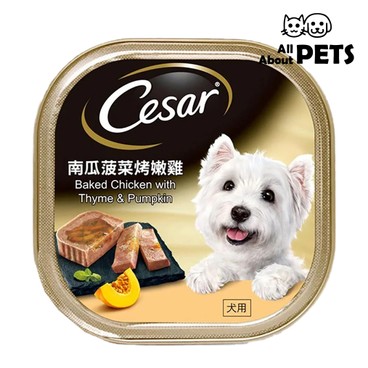 CESAR - Cesar Gourmet - Baked Chicken With Dill & Pumpkin Flavor For Dogs 100g - PC