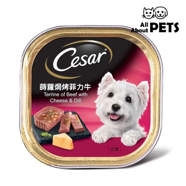 CESAR - Cesar Gourmet - Terrine Of Beef With Cheese & Dill Flavor For Dogs 100g - PC