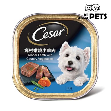 CESAR - Cesar Gourmet - Tender Lamb With Country Vegetables Flavor For Dogs 100g - PC