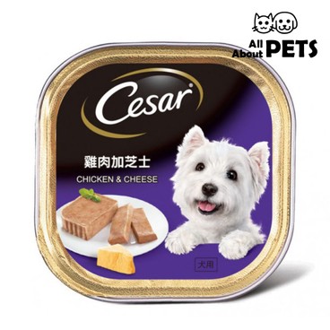 CESAR - Cesar Base-Chicken & Cheese Flavor For Dogs 100g - PC