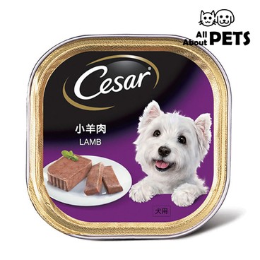 CESAR - Cesar Base-Lamb Recipe For Dogs 100g - PC