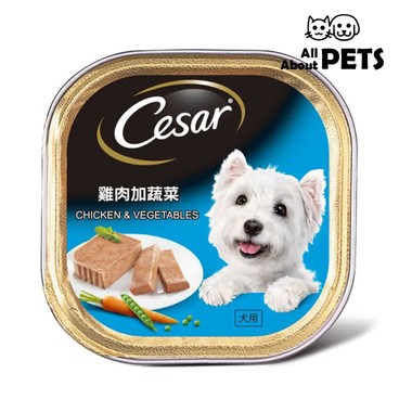 CESAR - Cesar Base-Chicken & Vegetables Flavor For Dogs 100g - PC