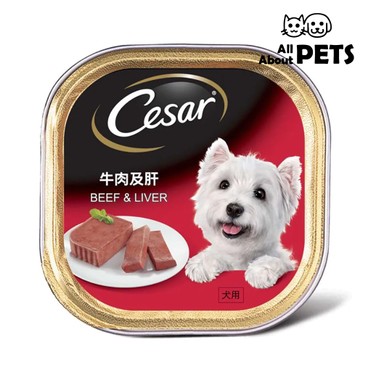 CESAR - Cesar Base-Beef & Liver Flavor For Dogs 100g - PC
