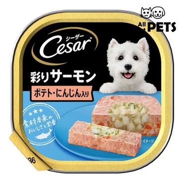 CESAR - Cesar Japanese-Salmon With Potato And Carrot Flavor For Dogs 100g - PC