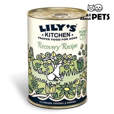 Lily's Kitchen - Recovery Recipe With Chicken Potatoes Bananas Adult Dog Canned 400g - PC