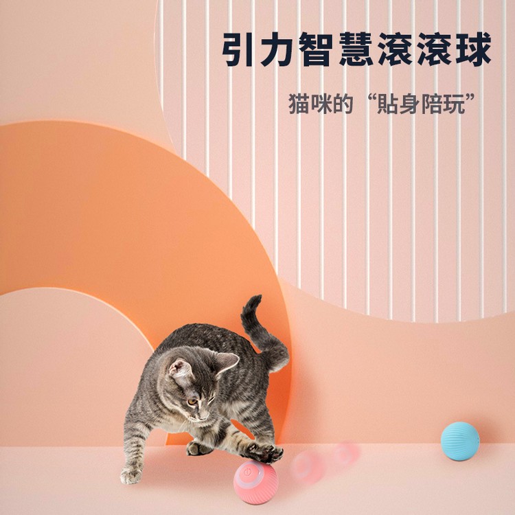 集寶| 寵物玩具球猫咪自嗨球USB充電猫球引力滾滾球（TLM） | 士多Ztore