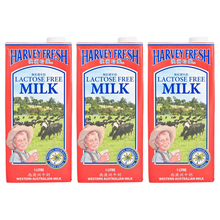 澳洲哈維 - 無乳糖牛奶 - 1LX3